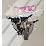 Floral Embroidered Sheer Mesh Panty
