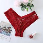 Red Sheer Lace Bikini Panty
