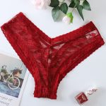 Red Sheer Lace Bikini Panty